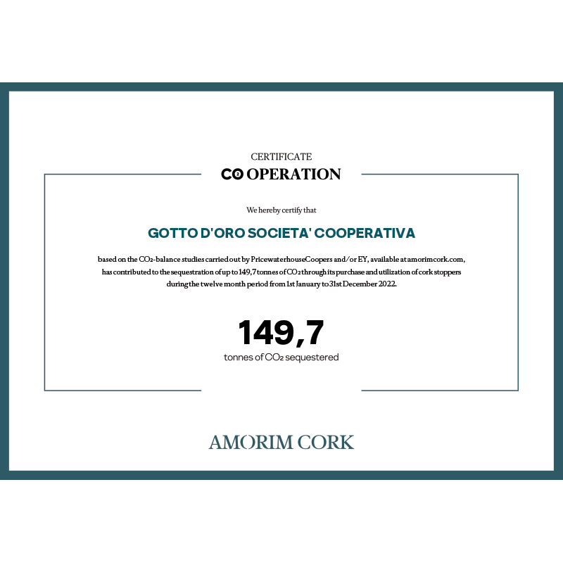 certificato-amorim-cO2 certificato CO2