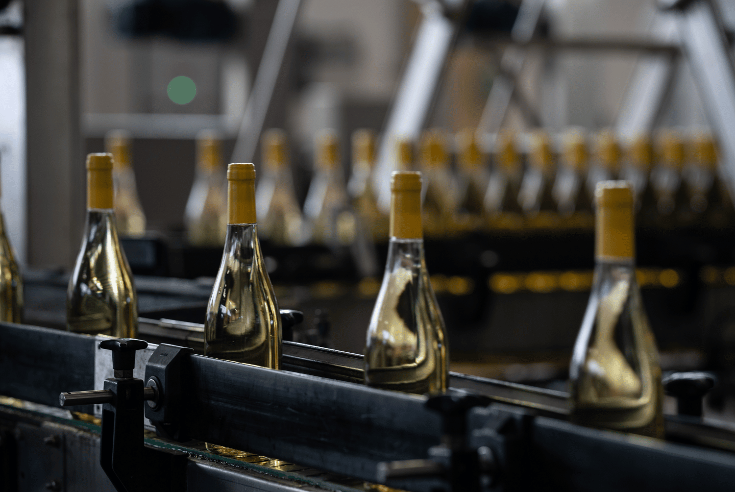 Quando imbottigliare il vino