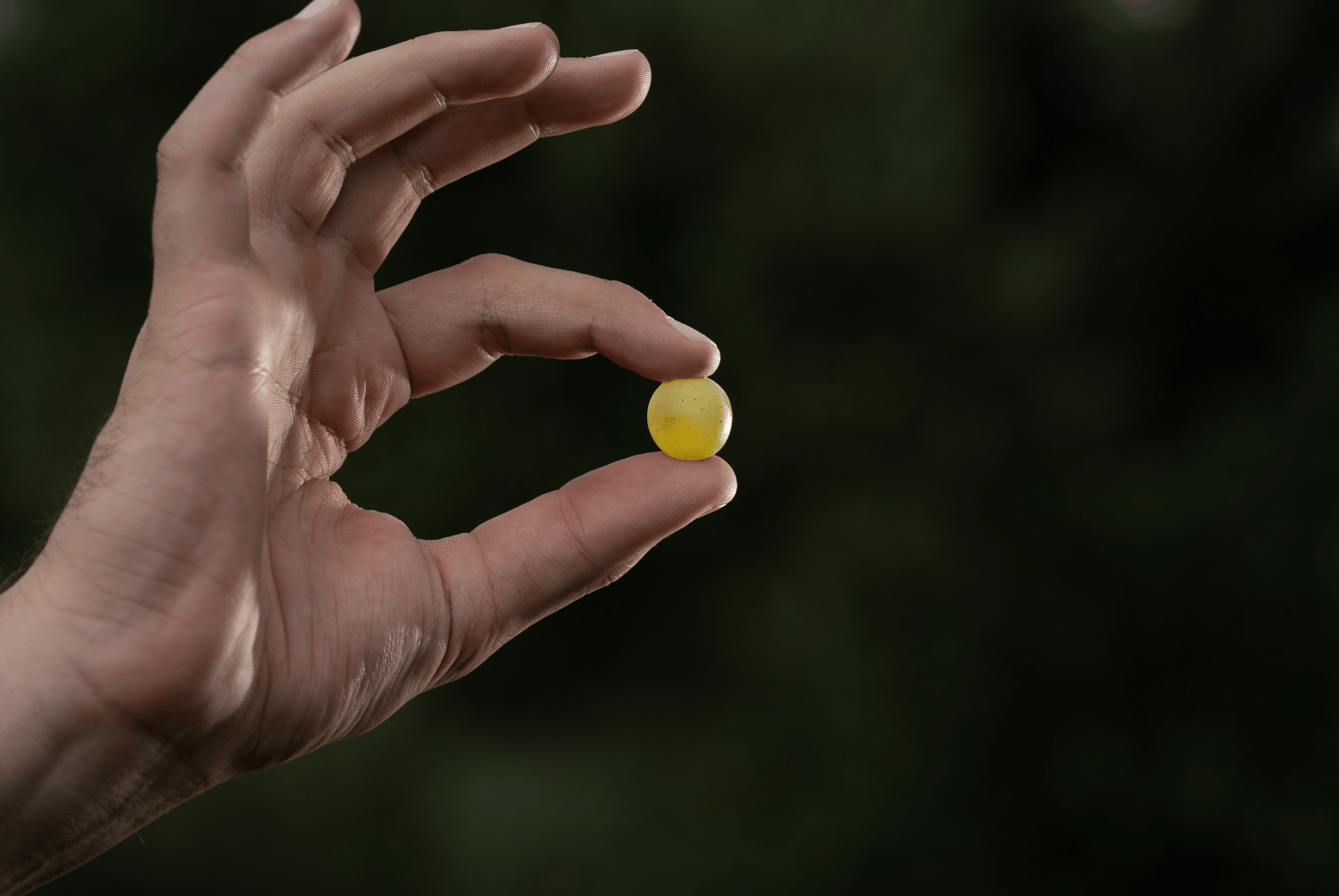 Tutto quello che c’è da sapere sulla Malvasia